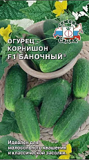 Семена Огурец Баночный F1® цв/п 0,3 г СеДеК