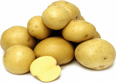 Картофель семенной Гала 3 кг