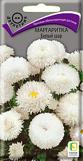 Семена Маргаритка Белый Шар цв/п 0,05 г Поиск
